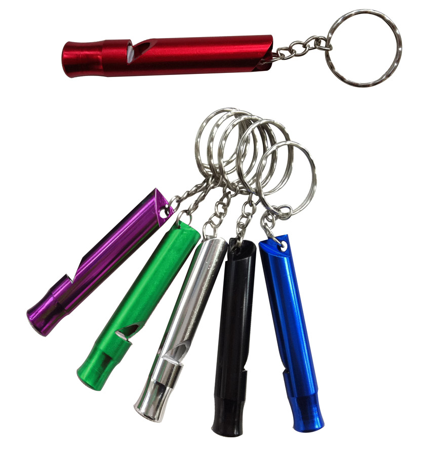 Custom Metal Whistle Key Ring Keychain