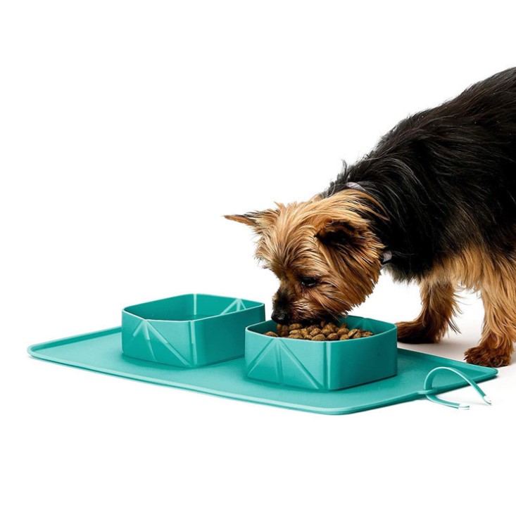 Double Bowl Portable Pet Folding Bowl With Food Mat