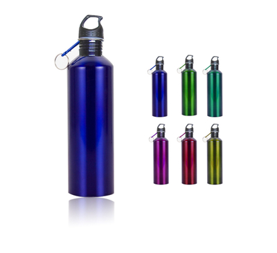 Classic Stainless Steel Custom Sports Water Bottle With Carabiner 25oz