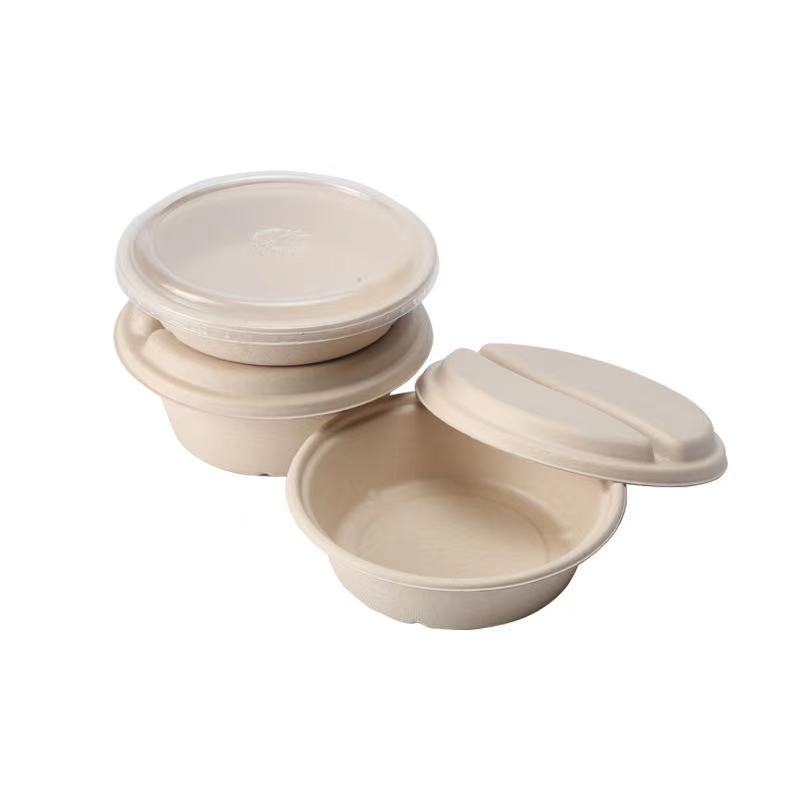 Biodegradable Wheat Pulp Disposable Food Containers
