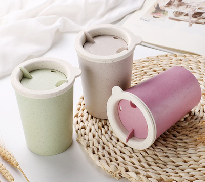 Environmentally Plastic Straw Bottle Cup Used For Festival Gifts