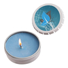 Scented Candle in Small Push Tin